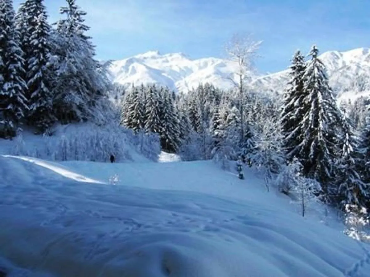 Appartement 3 Pieces 8 Pers, Balcon, Animaux Acceptes - Fr-1-291-759 Valmorel Apartment